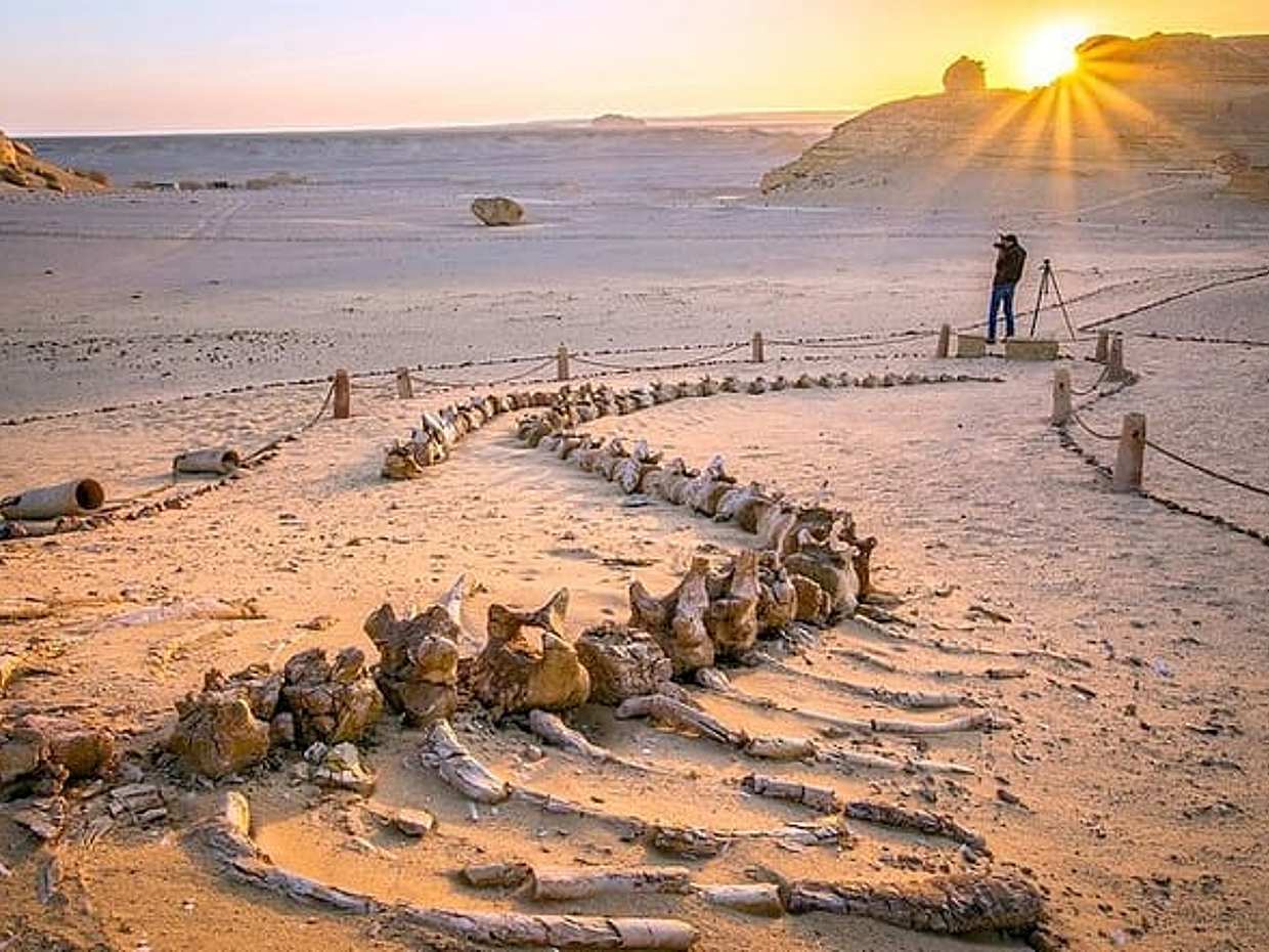 Private Tour Fayoum Oasis & WATERFALLS & Sandboarding with LUNCH, photo 3
