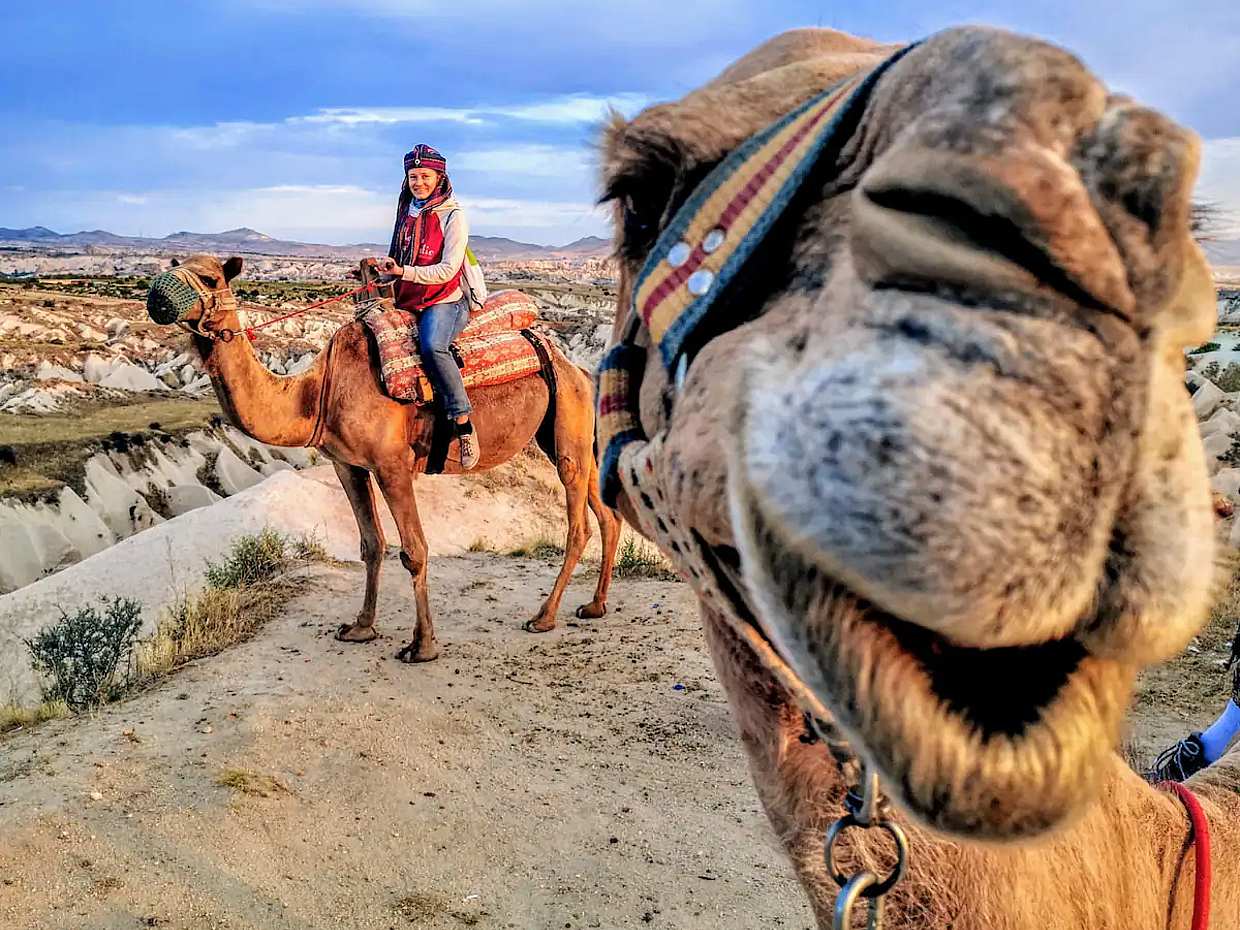 Meet the Cute Camels: Enjoyable Camel Tour in Turkey, Cappadocia, photo 2