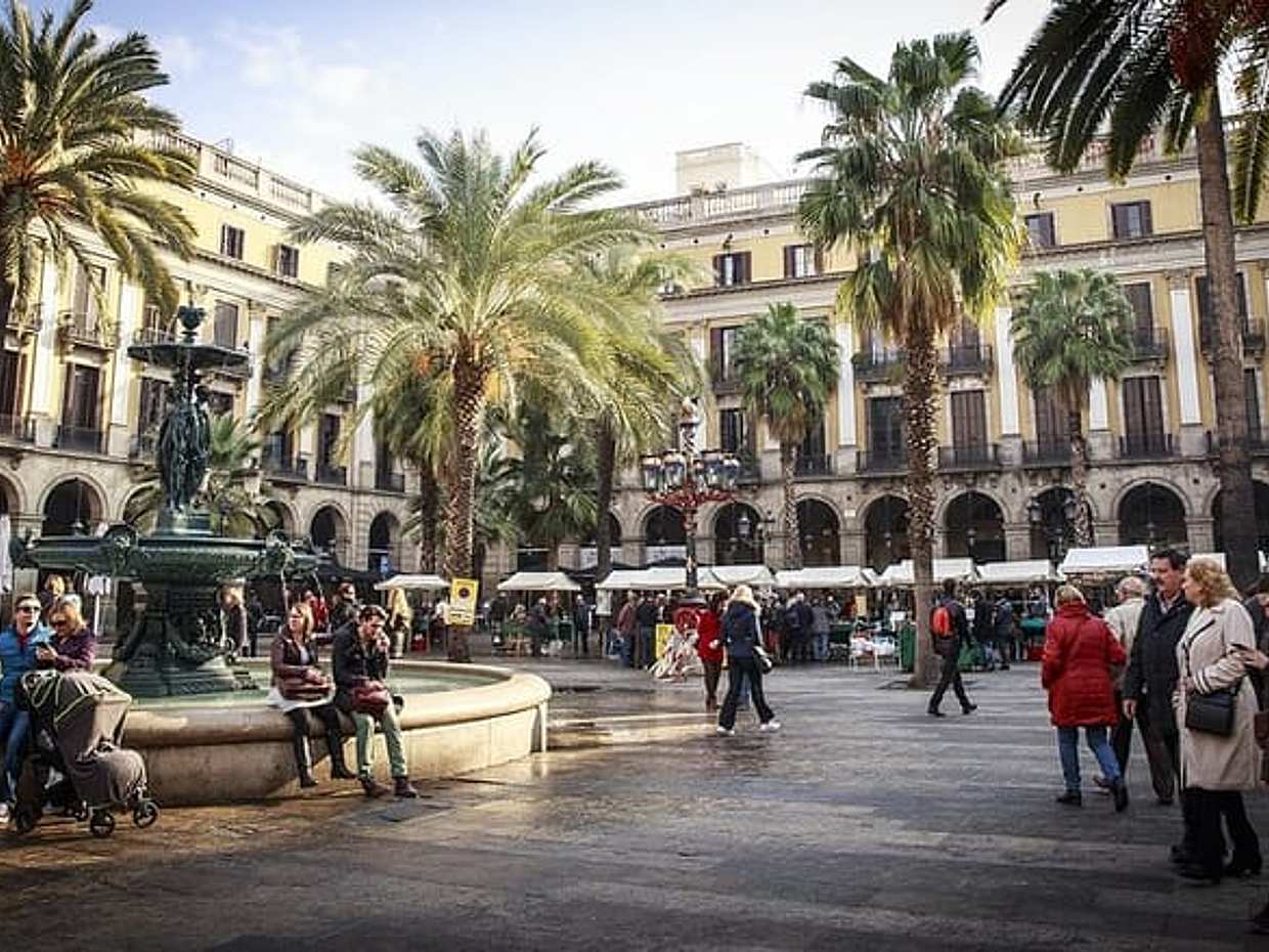 Private Transfer From Madrid to Barcelona English Speaking Driver, photo 4