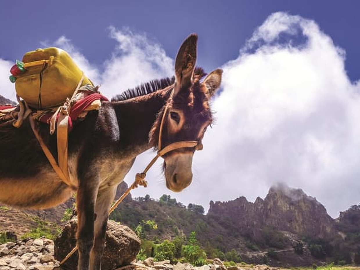 Santo Antao Complete, photo 4