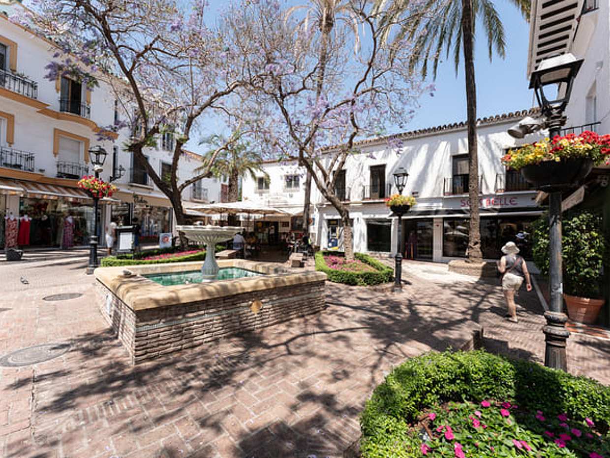 City Walk + Wine and Olive Oil tasting in Spain, Marbella, photo 5