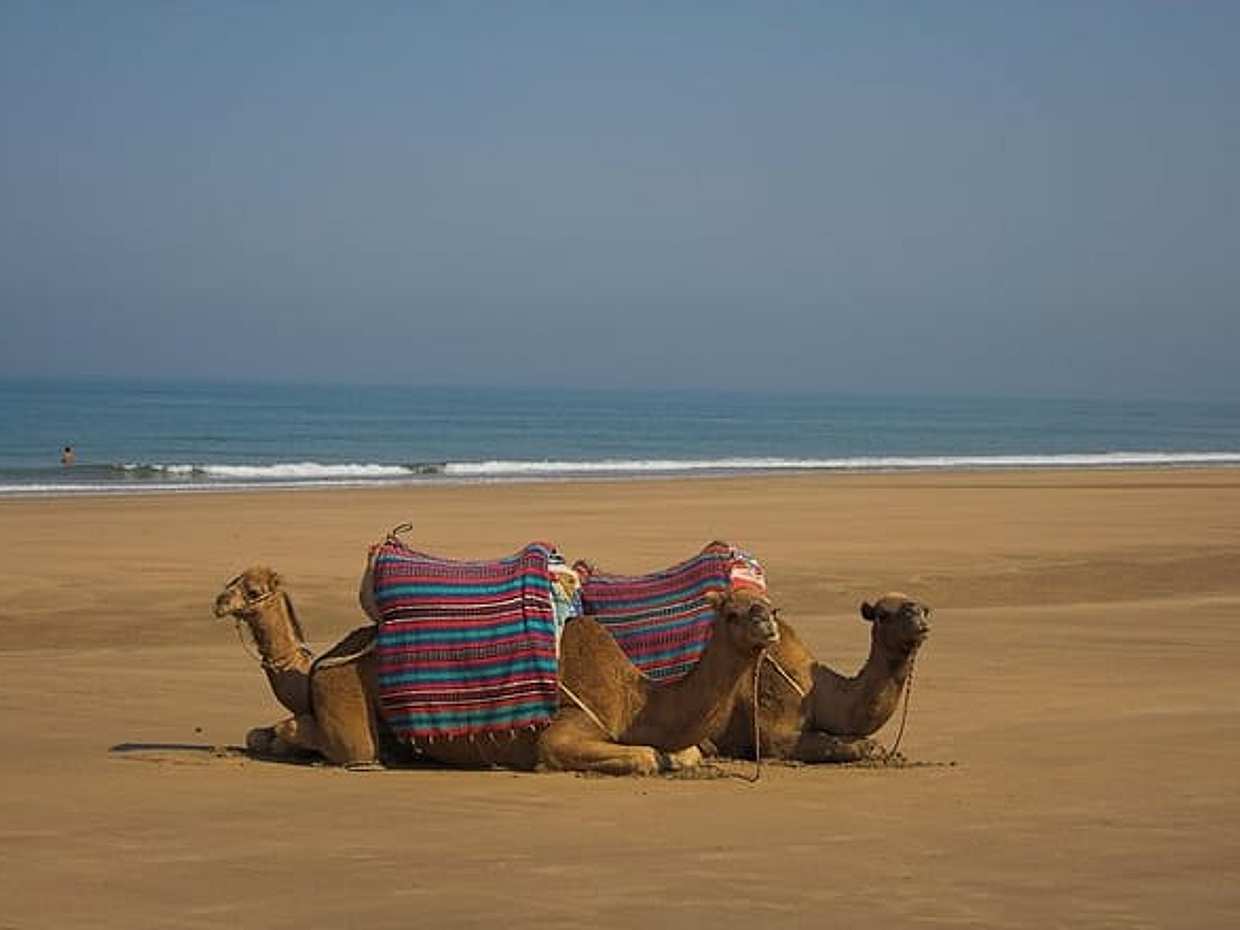 Agadir Private Tour from Marrakech, photo 2