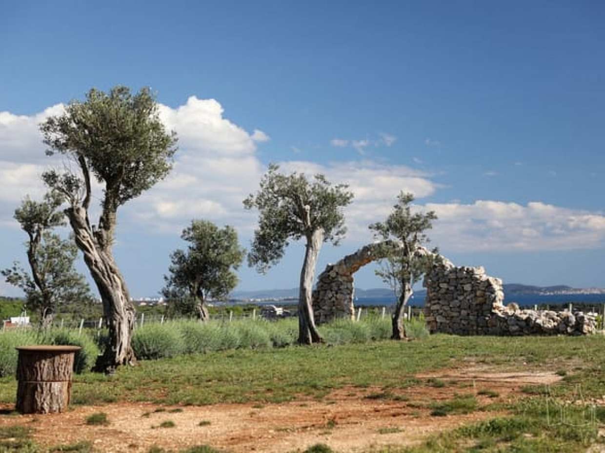Croatia Gastro Experience: Private Nin and the Royal Vineyards - from Zadar, photo 4
