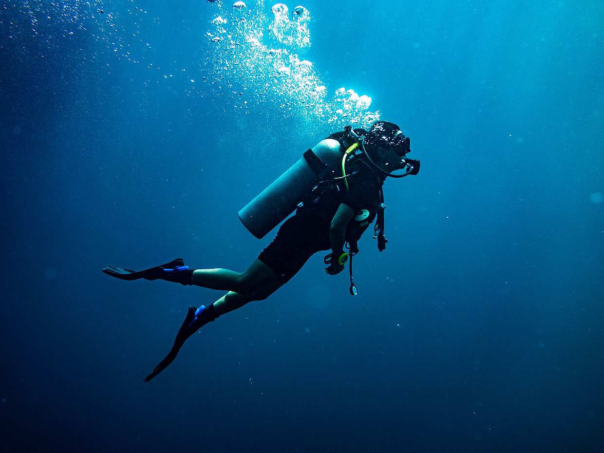 Diving for Certified Divers in Fujairah, United Arab Emirates