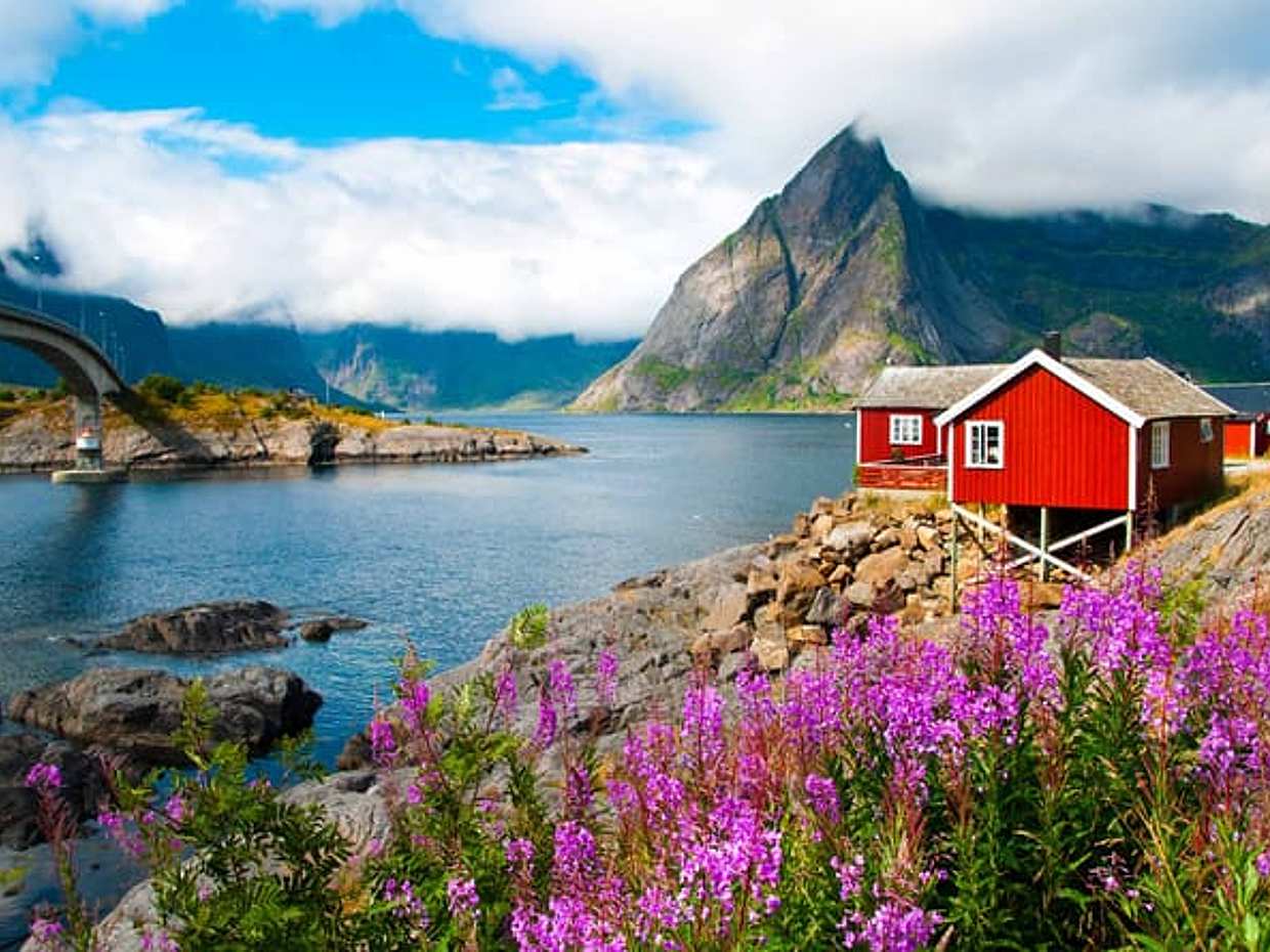 Special Summer Cruise Bus Tour of Lofoten, photo 2
