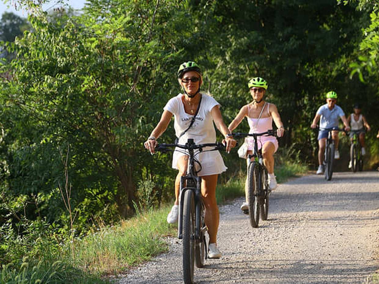 E-Bike tour with Wine tasting from Salò