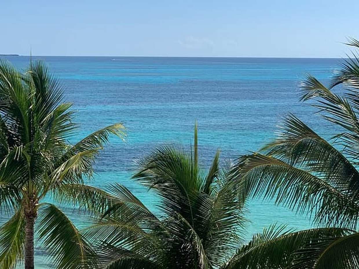 Private Transfer Tulum-Bacalar with optional 2h in Sian Ka'an Biosphere Reserve, photo 2