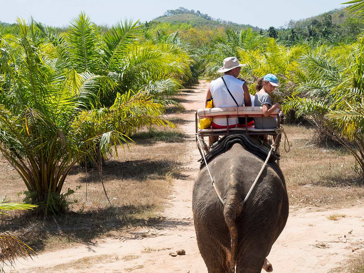 Phuket: Dschungel-Safari mit Bambus-Rafting und Elefantenreiten in Thailand

