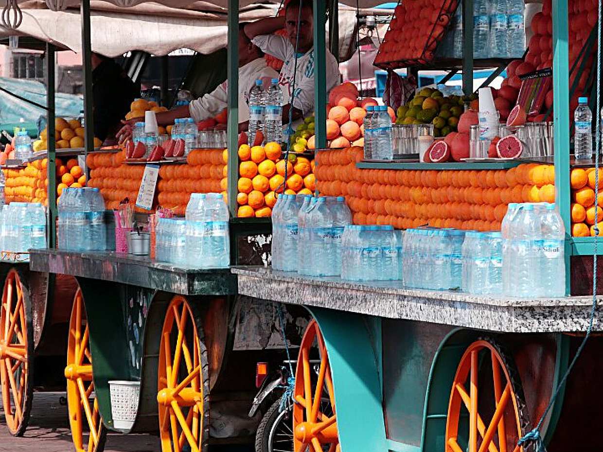Agadir to Marrakesh Day Tour with Guide in Morocco, photo 3