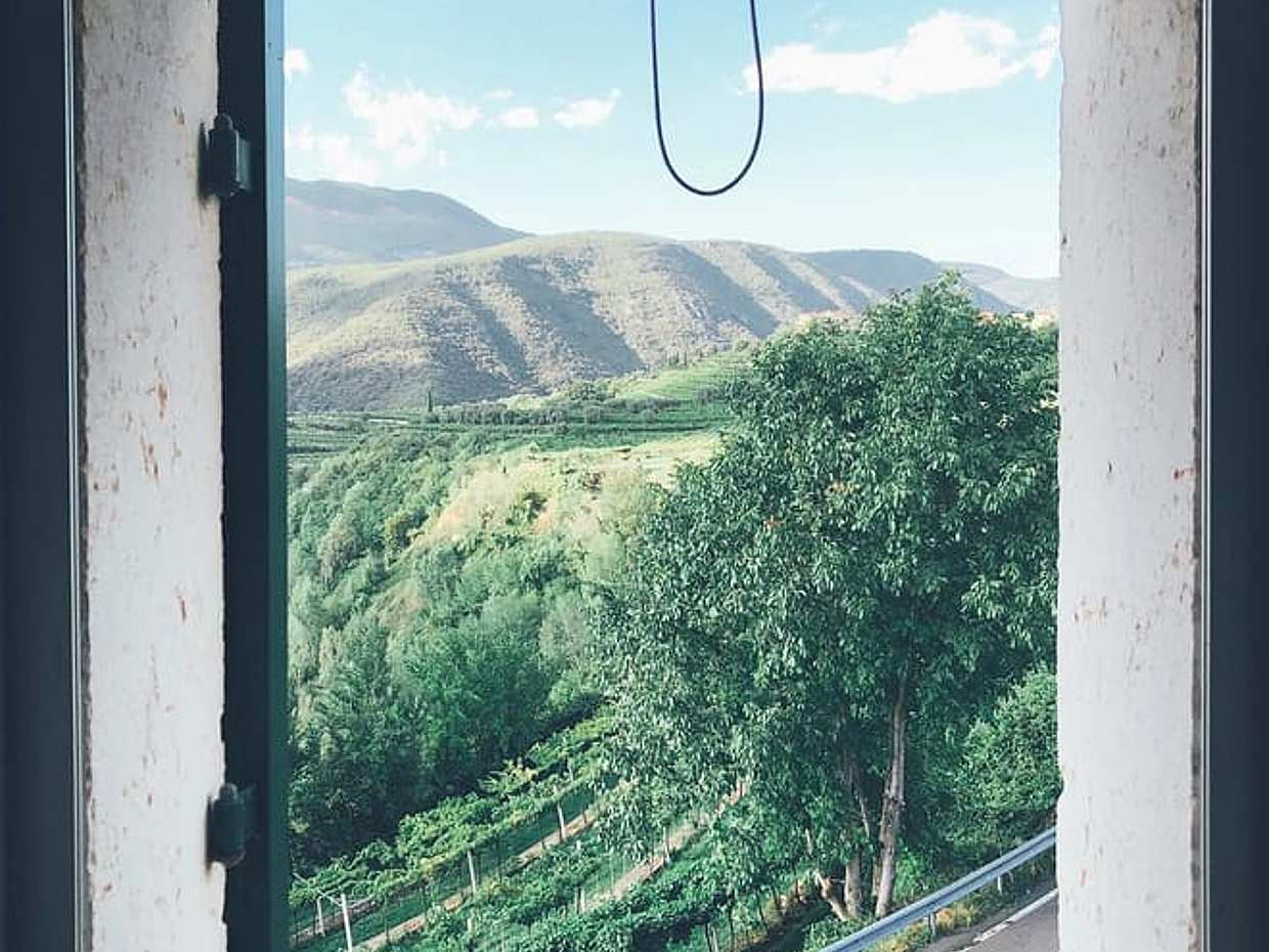 Discover DOP Olive Oil, photo 4