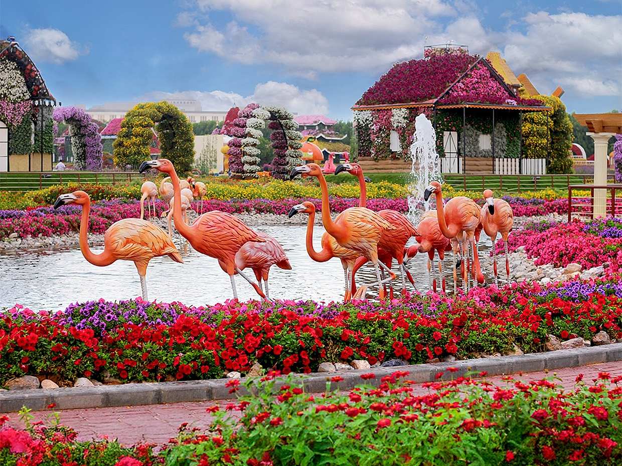 Miracle Garden Tour in United Arab Emirates, Dubai, photo 3
