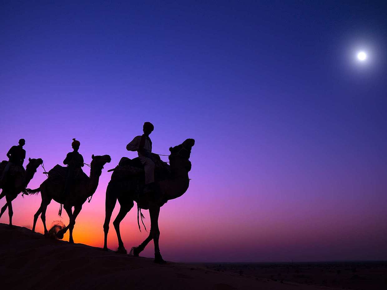 Safari privado nocturno en Abu Dhabi con danza del vientre, paseo en camello y barbacoa en los Emiratos Árabes Unidos., photo 2
