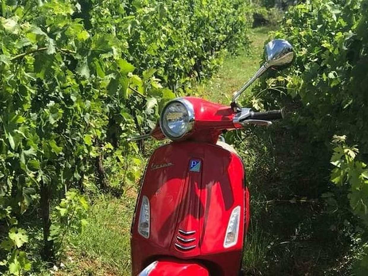 Vespa Motorcycle rental in Florence, photo 4