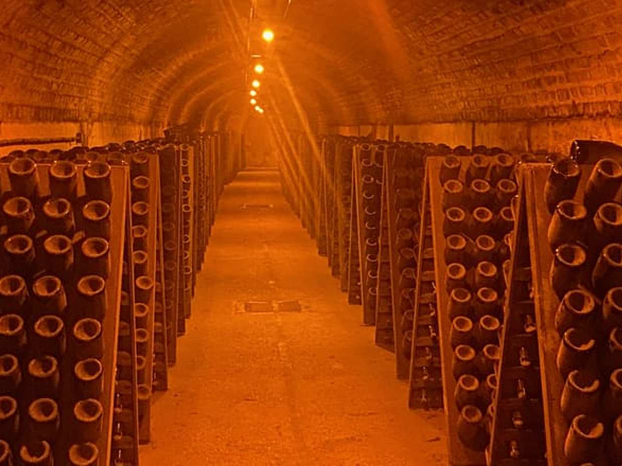 Lunch at Moet et Chandon, Aperitif & Cellars visit Champagne trip., photo 4