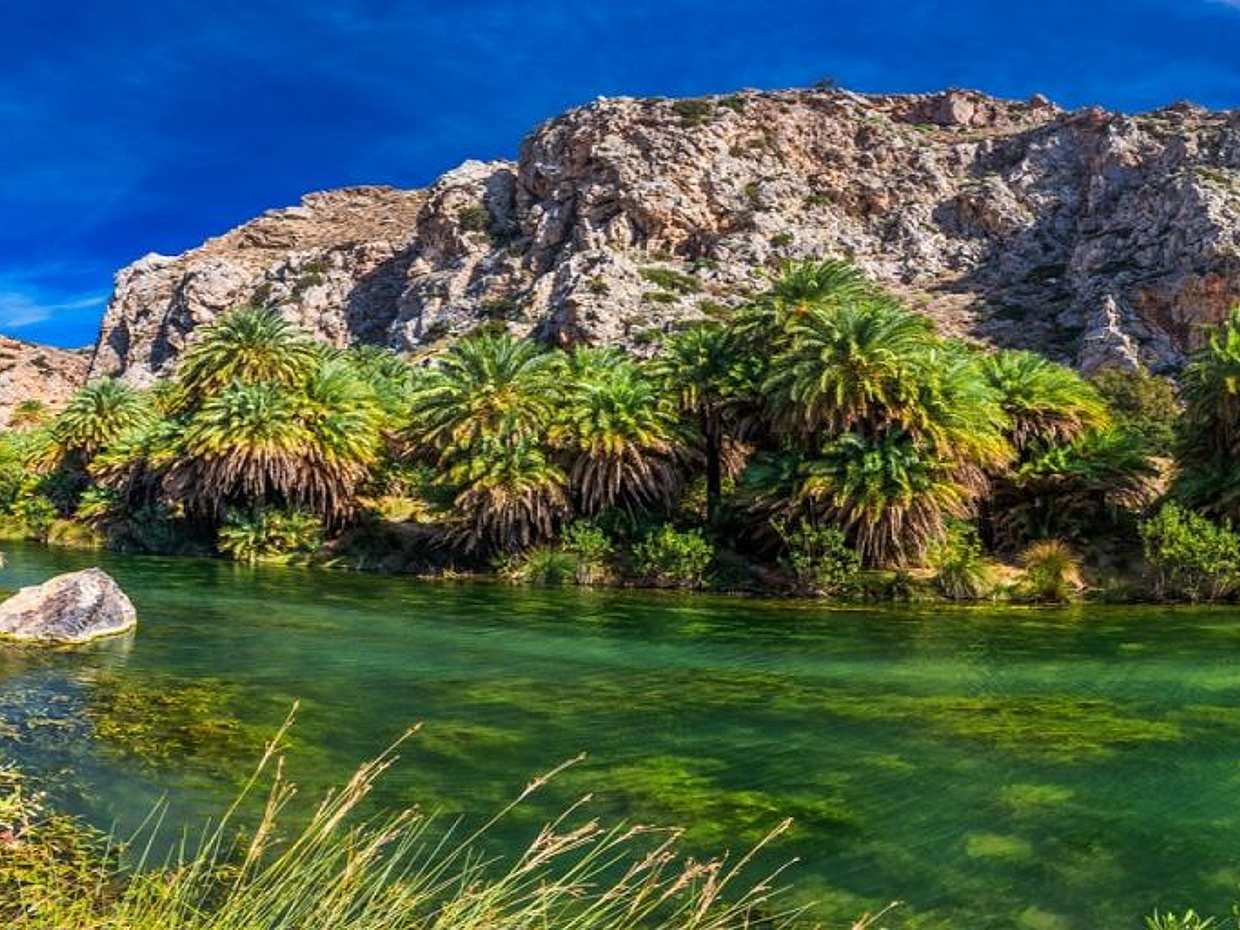 From Heraklion: Full-day Tour to Preveli Palm Beach, Damnioni Beach & Rethymno Town, Greece, photo 2