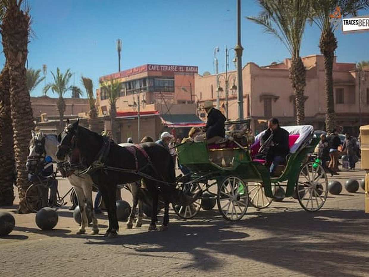 Horse Carriage Ride in Marrakech