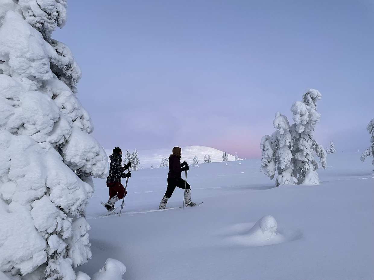 Finlandiya'daki (Pallas-Yllästunturi) Milli Park'ta, Kittila Kar Ayakkabısıyla Yürüyüş Milli Park'ta Kar Ayakkabısıyla Yürüyüş, photo 5