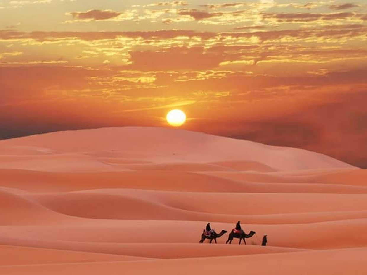 Abu Dhabi Morning Desert Safari with Sandboarding, photo 4