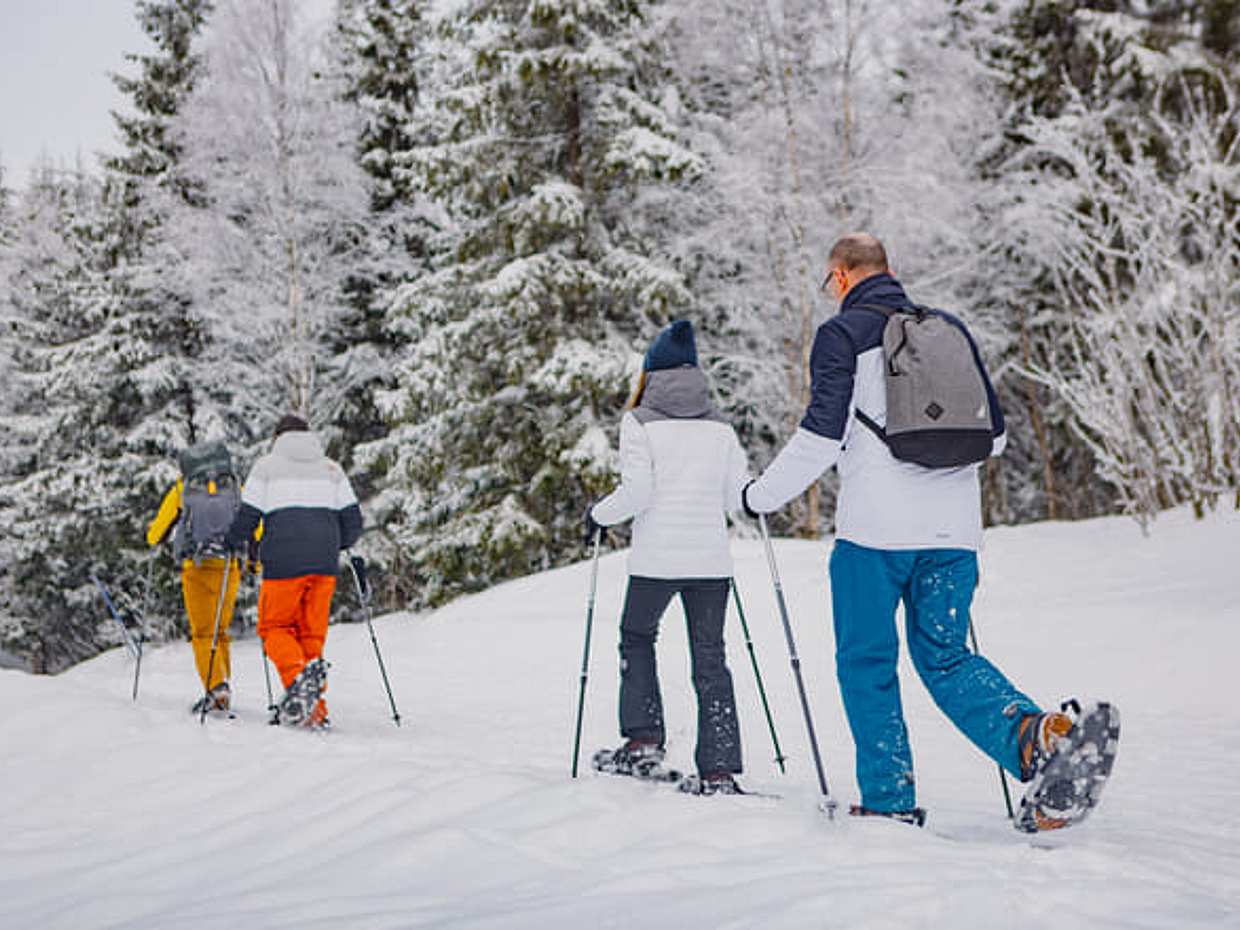 Snowshoe Tour in Winter Wonderland, photo 3