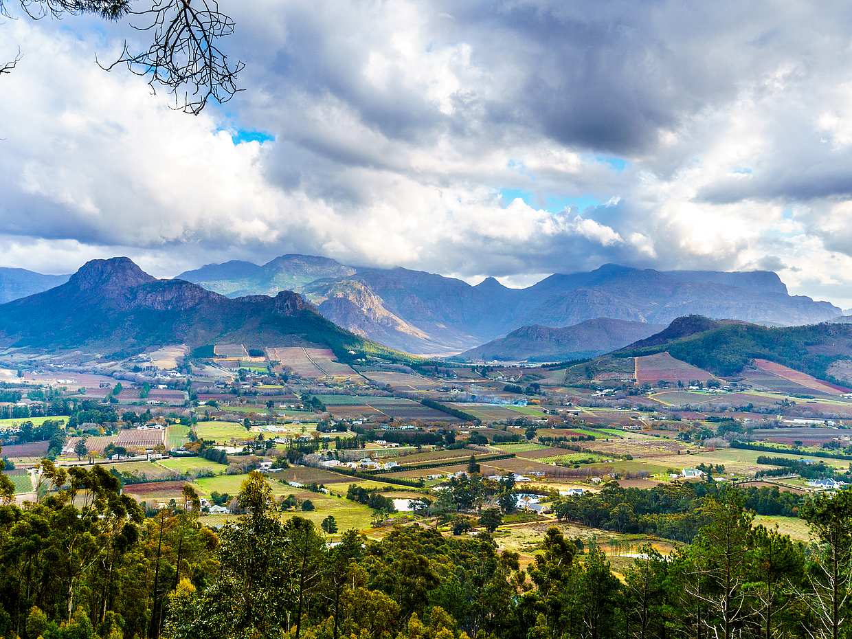 Full Day Cape Winelands Trike Tour in Cape Town, South Africa, photo 4