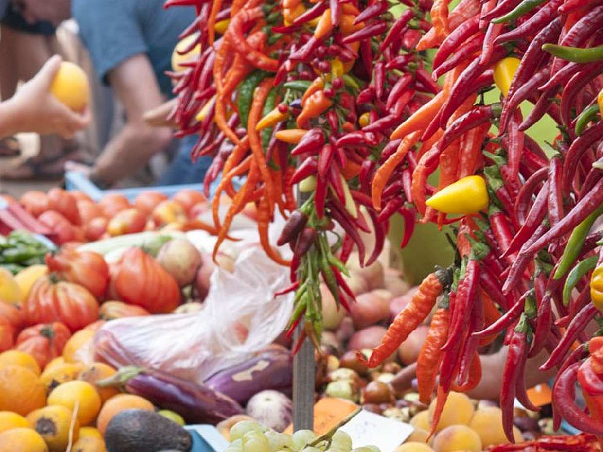 Local Market Private Trip in Palma, Spain