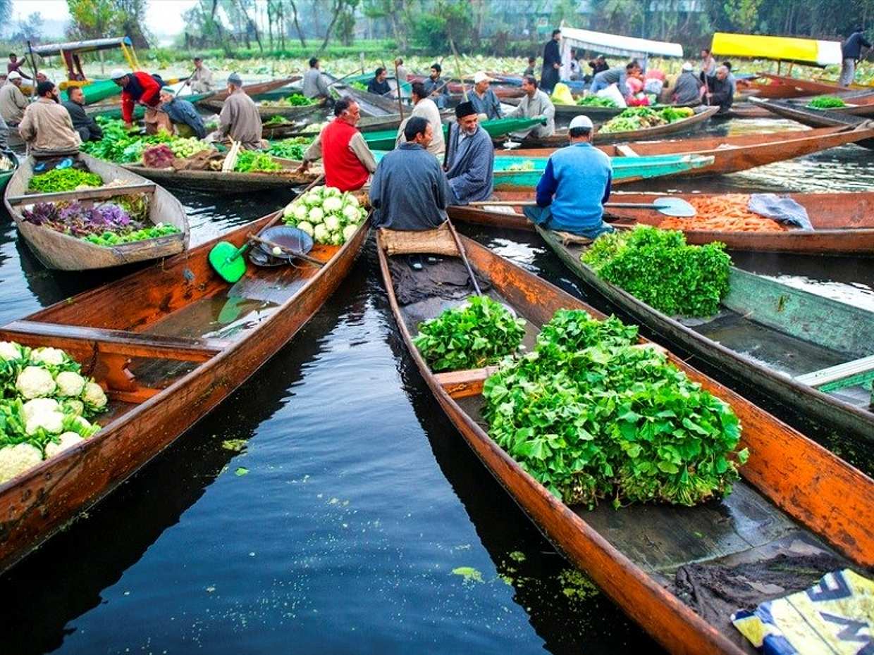 Online Shikara Ride on Dal Lake., photo 5