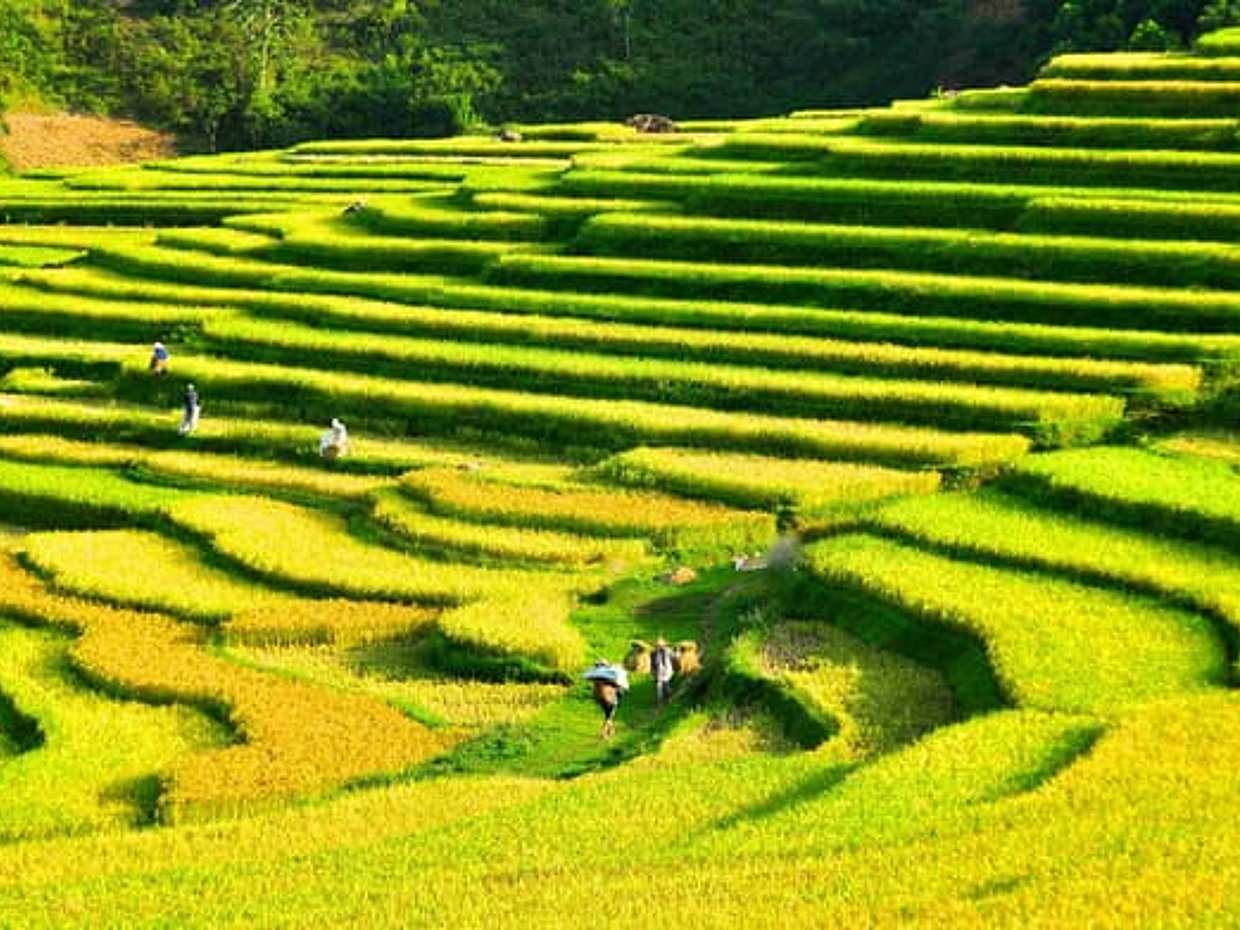 Full day Exploring Pu Luong, photo 3
