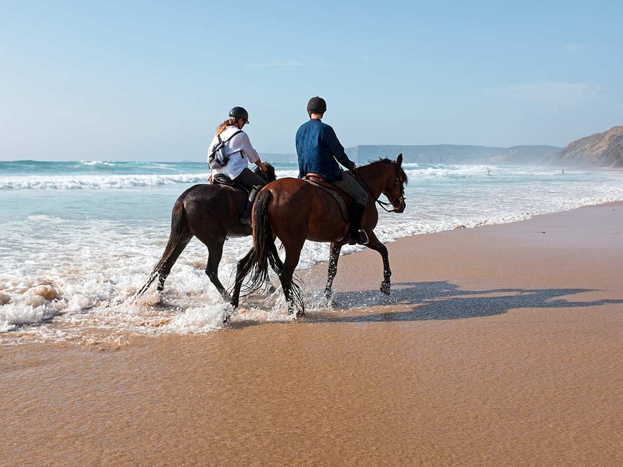 Reiten in Agadir und der Flamingo-Fluss in Marokko
