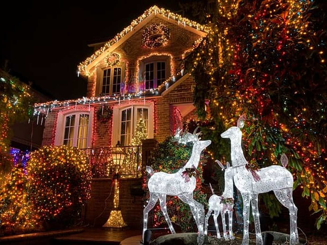 Christmas Lights Tour in New York City Dyker Heights, photo 5