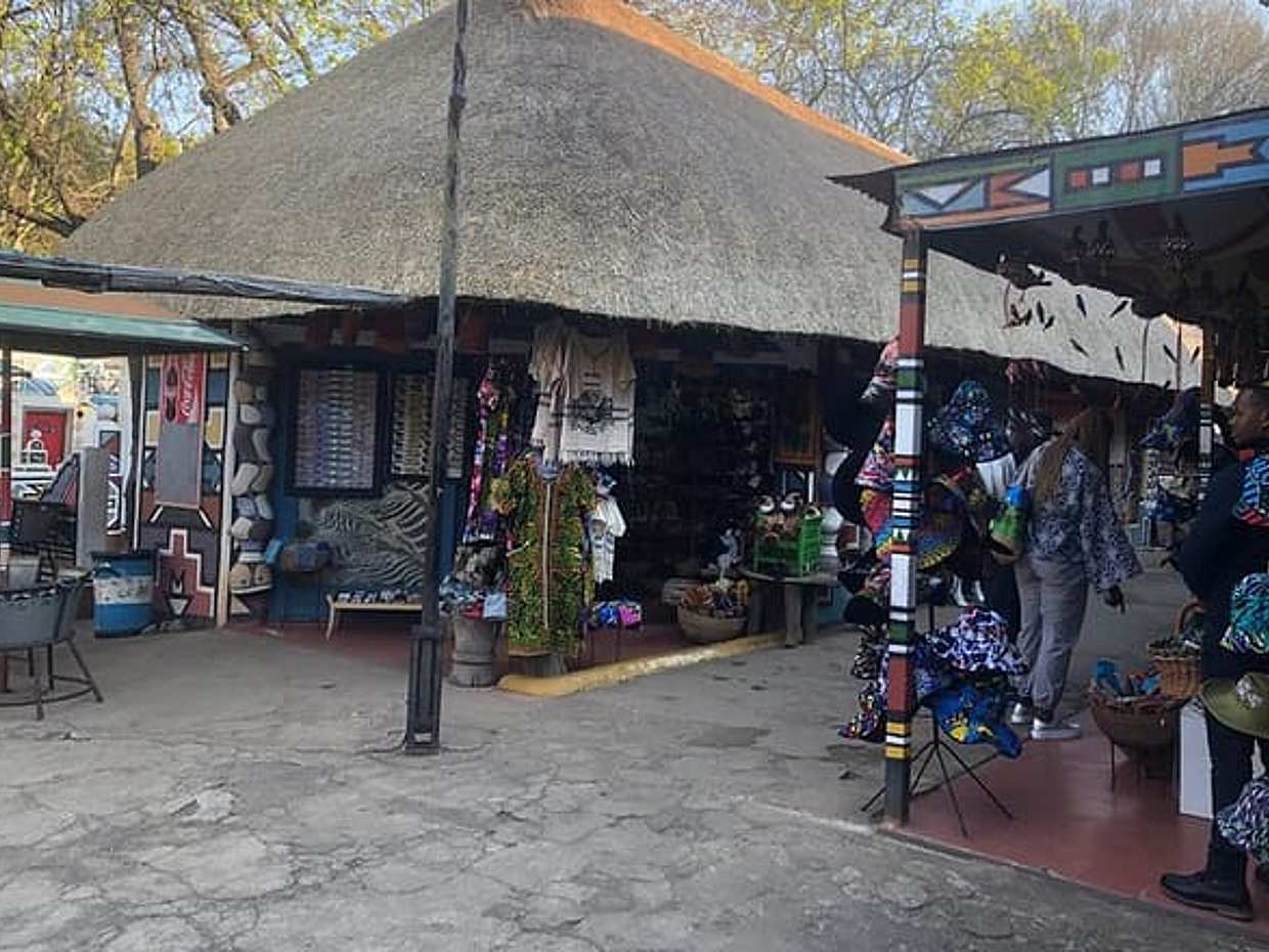 Lion Safari and Cultural Village Experience from Johannesburg, South Africa, photo 4