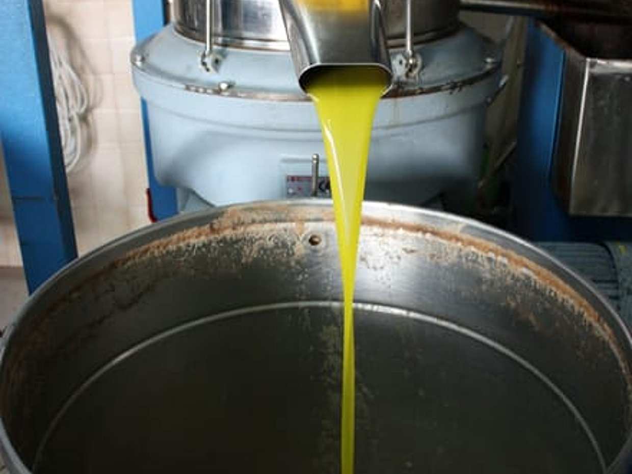 Martina Franca: Olive Oil Mill Tour & Tasting Experience, photo 4