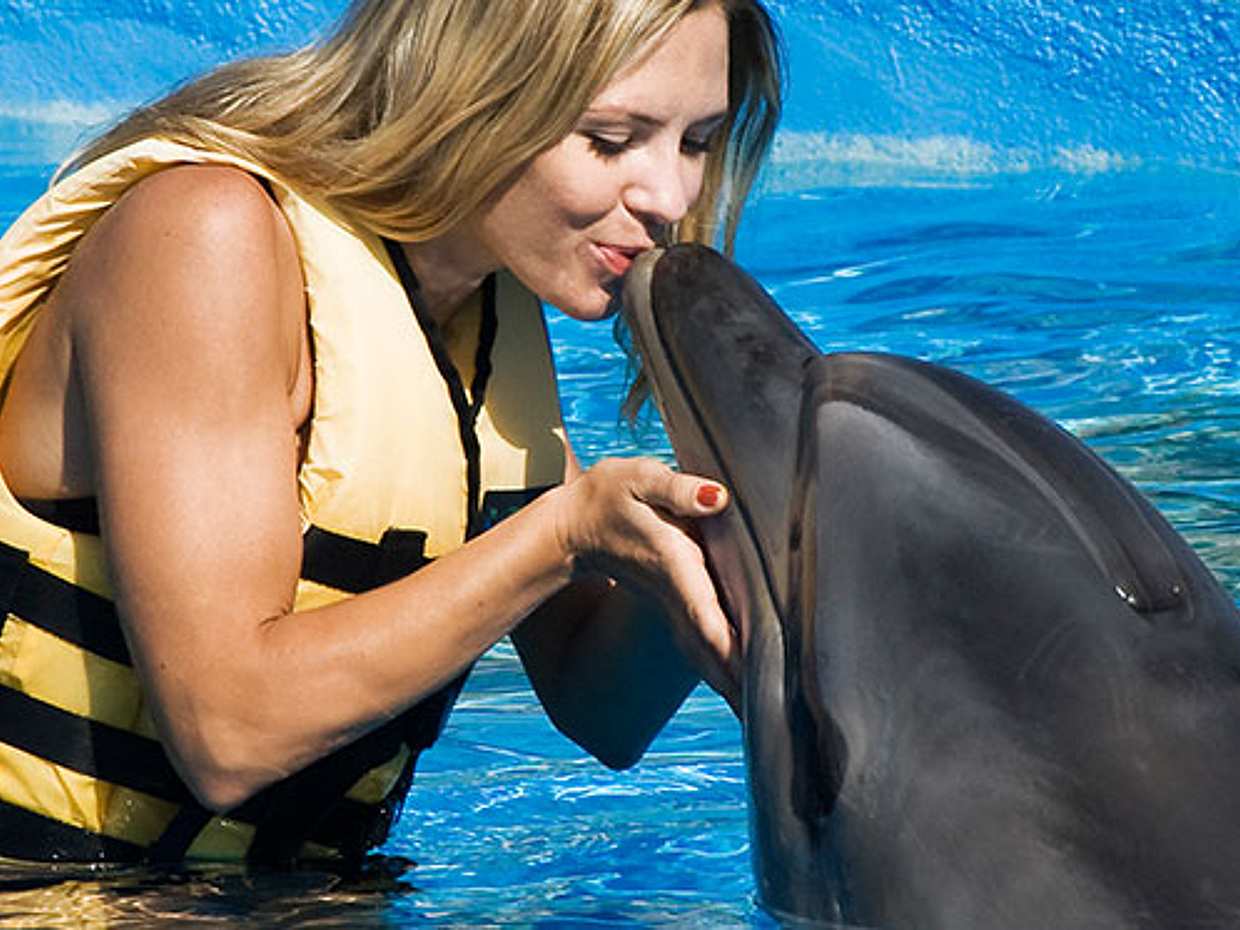 Dolphin Show Experience from Side in Turkey