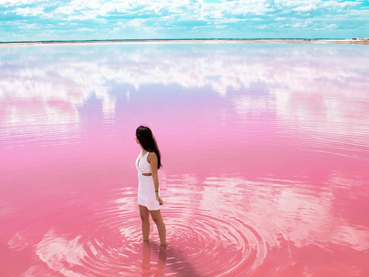Las Coloradas Full-day Tour in Mexico, Cancún, photo 2