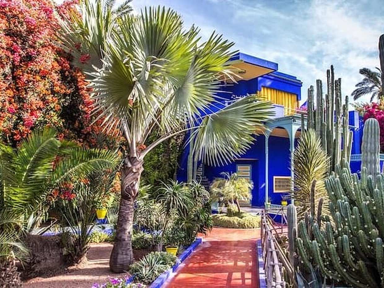 Majorelle Garden,St Laurent & Berber Museum, Round-Trip & Tickets, photo 3
