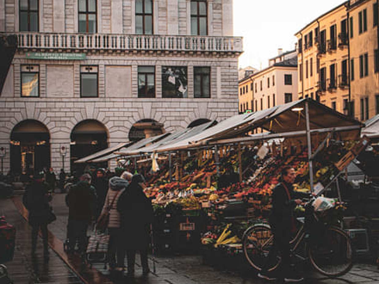 Experience Padua like a local from Venice, photo 3