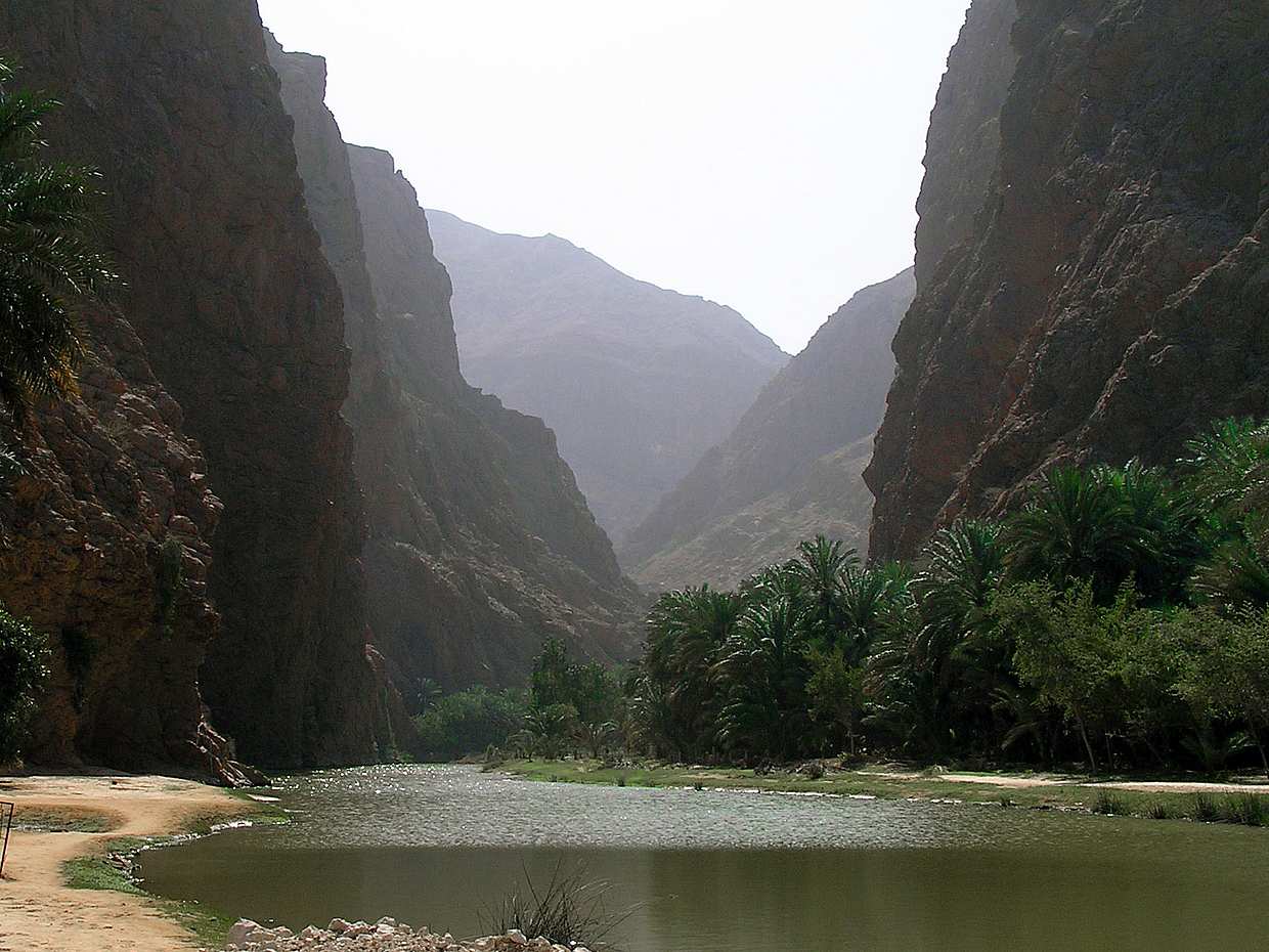 Coastal Wonders: Wadis and Spectacular Views Tour in Oman, Muscat, photo 5