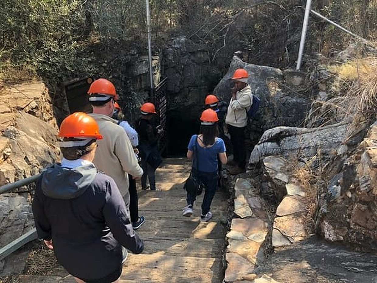 Half Day Cradle Of Humankind Tour, South Africa, photo 2