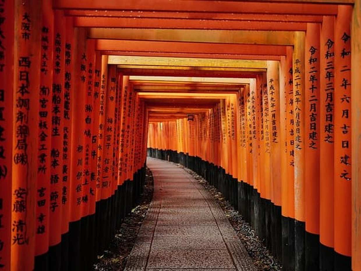 Kyoto Early Morning Tour with Korean Speaking Guide, photo 4