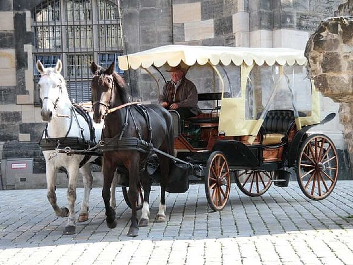 Private Tour Berlin - Dresden with English Speaking Driver in Germany, photo 5