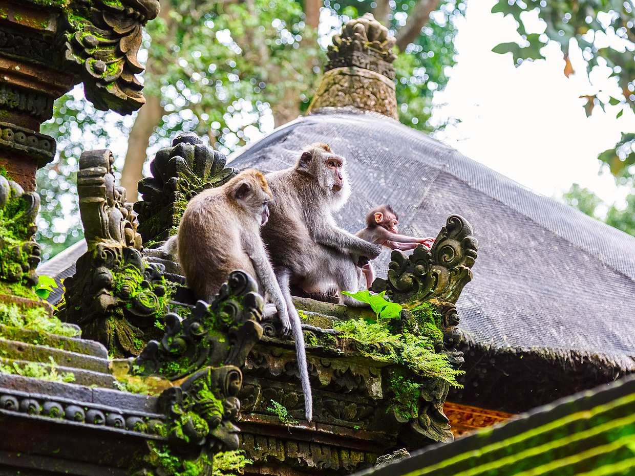 Circuit des trésors cachés de Bali en Indonésie
