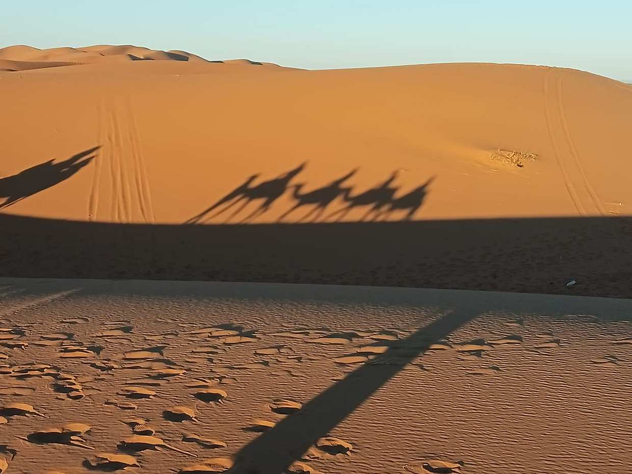Kamelritt in der marokkanischen Sahara in Marokko, Merzouga, photo 3