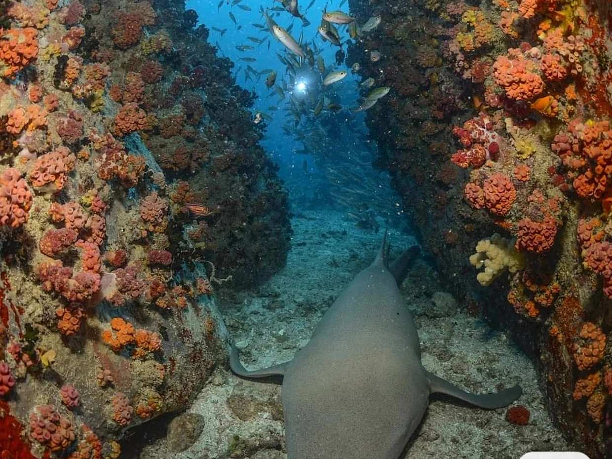 Fishing Trip in Seychelles in Victoria, photo 5