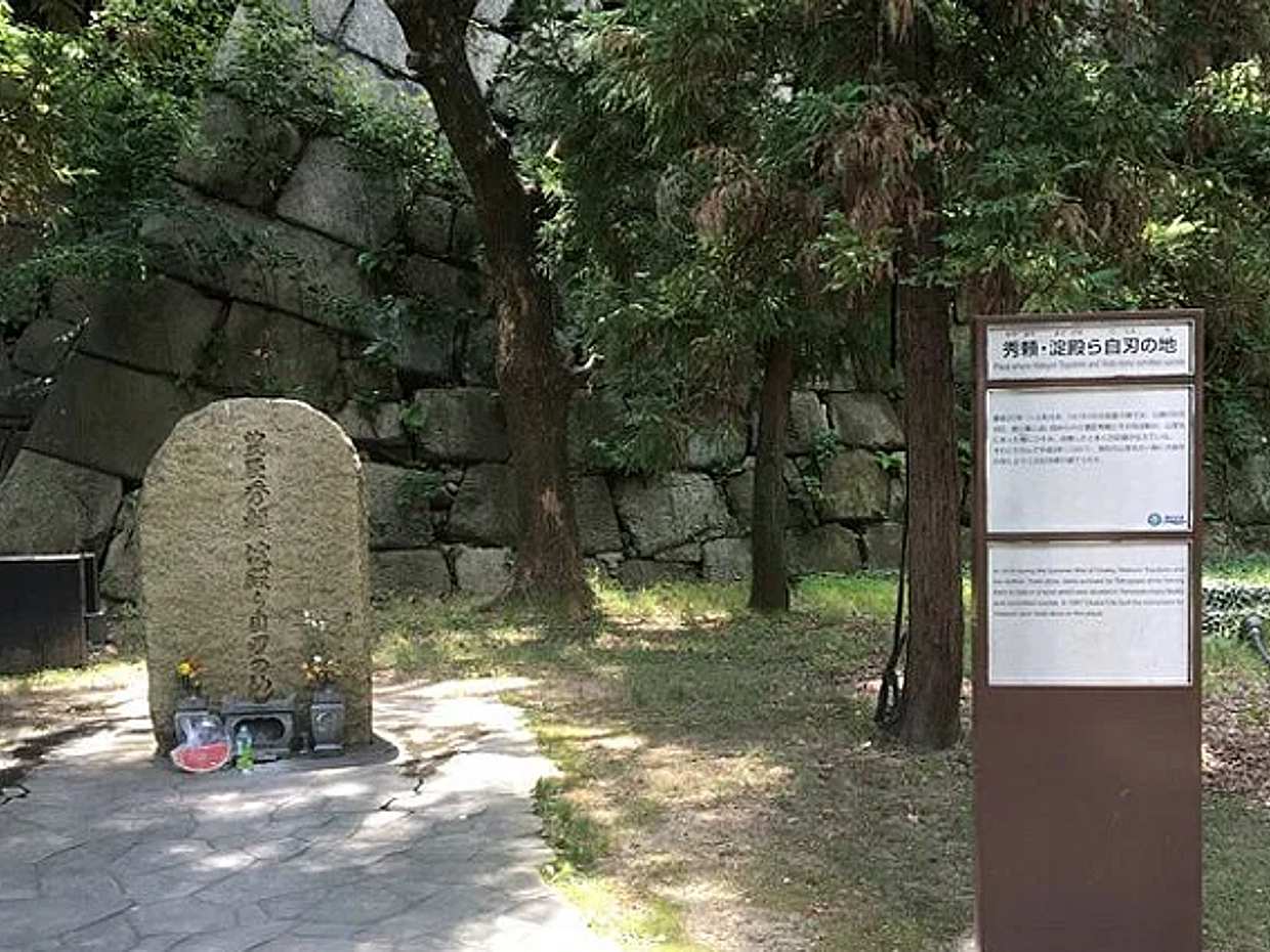 Half-day Private Guided Walking Tour to Osaka Castle, Japan, photo 5