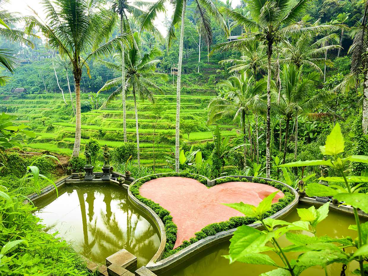 Bali Customizable Tour, photo 2
