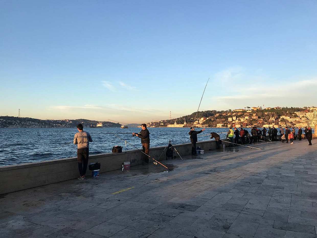 3-hour Bosphorus Cruise with Stop on the Asian Side, photo 5