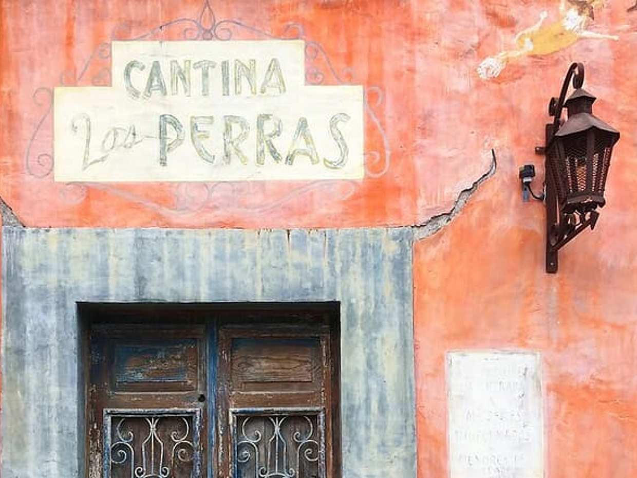 Private Transfer Tequila to San Miguel de Allende with 2 hours for sightseeing, photo 4