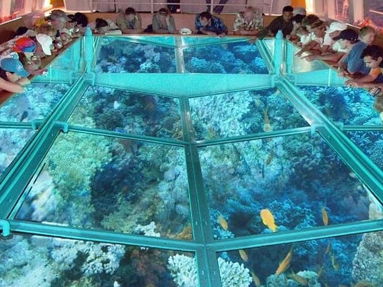 Glass Bottom Boat in Sharm El Sheikh, photo 5