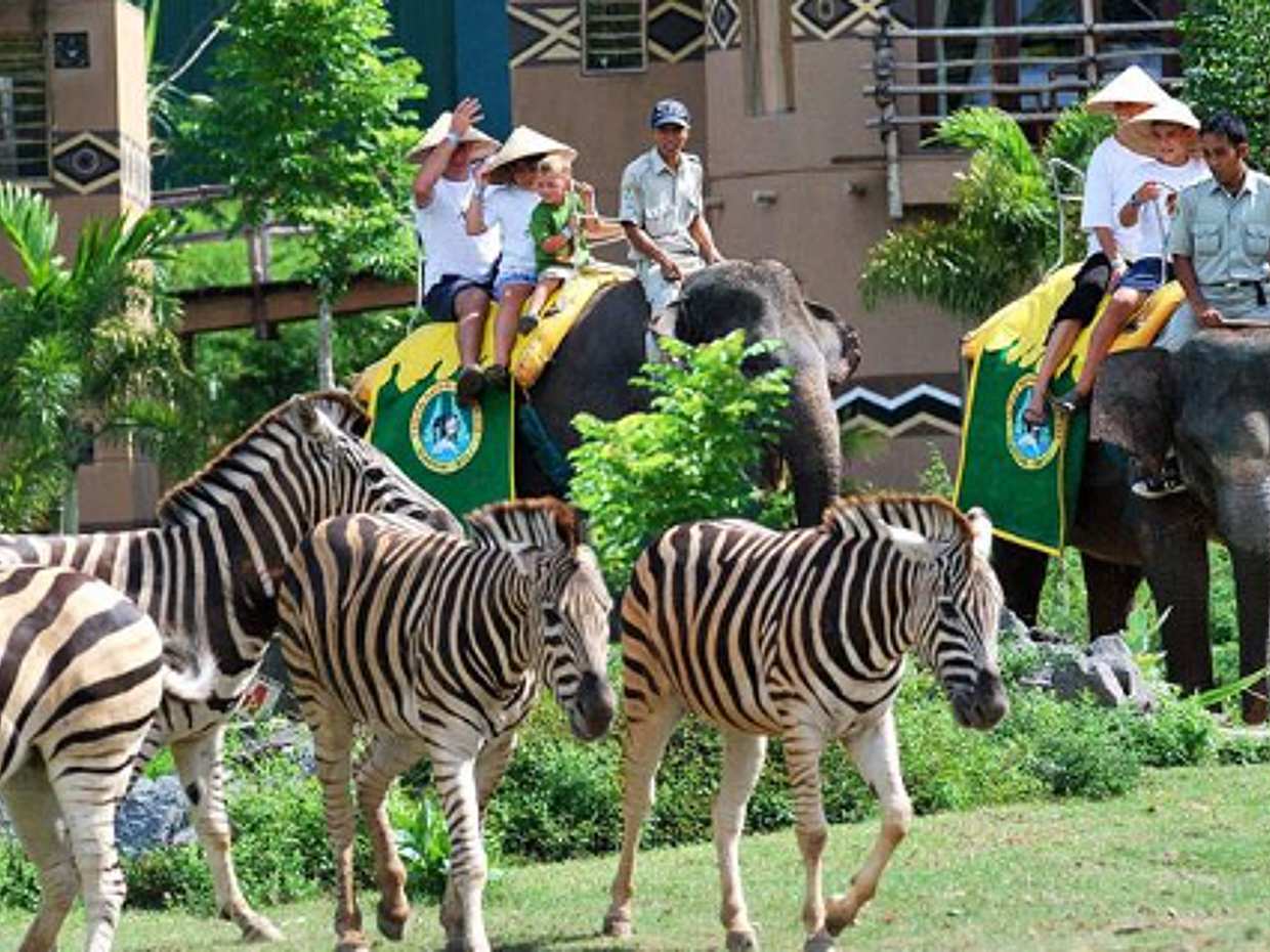 Bali Safari Jungle Hopper Experience with Safari Tram in Indonesia, photo 3