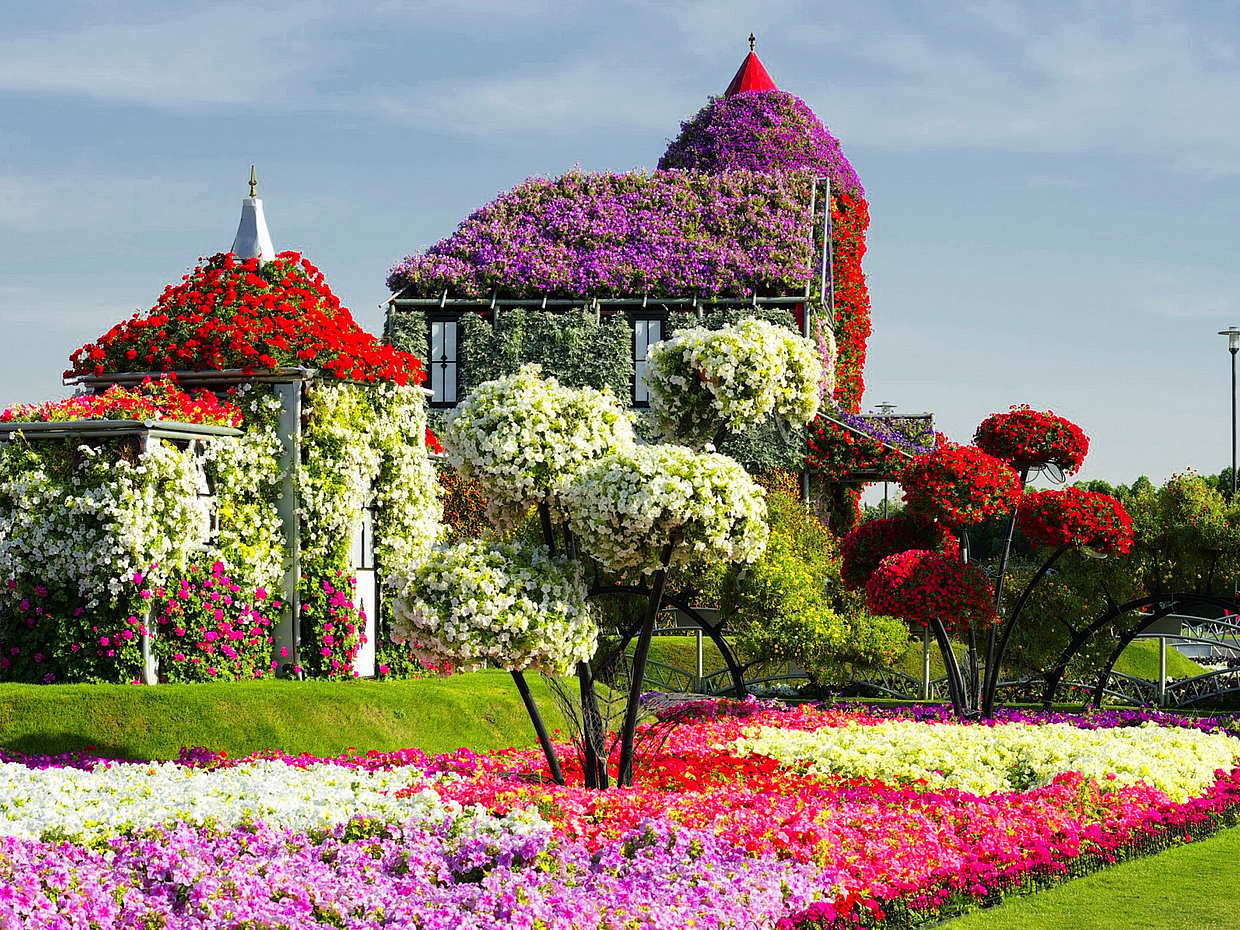 Dubai Combo Fairy Tail Global Village with Miracle Garden in United Arab Emirates