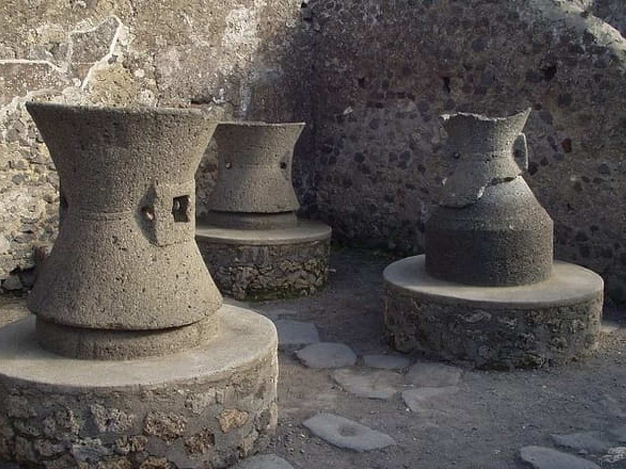 Pompeii & Naples: Half-Day Shared Tour from Naples with Skip-the-Line Ticket, photo 3